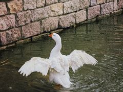 -三里河公园