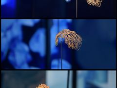 -长沙博物馆