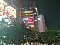 -岭南站NOVA