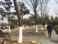 -白塘生态植物园