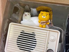 -KAKAO FRIENDS(弘大店)