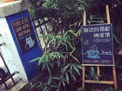 -海边的猫和咖啡馆