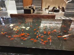 -大和洗浴休闲会所(宏大广场店)