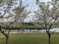 -洨河生态公园