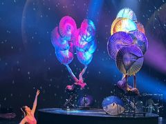 -重庆国际马戏城