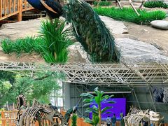-中国第四纪冰川遗迹陈列馆