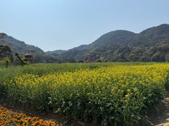 -广州市石门国家森林公园
