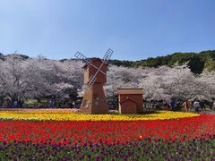 -苏州上方山国家森林公园
