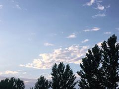 -洨河生态公园