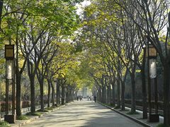 -洛阳市隋唐城遗址植物园