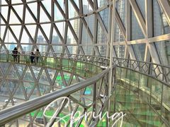 -陕西自然博物馆