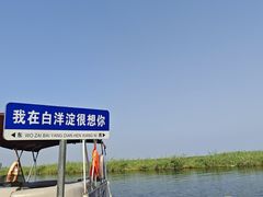 -白洋淀景区