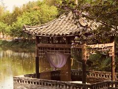 -老木棉·匠园