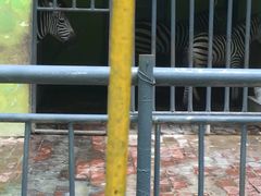 -荆州中山公园动物园