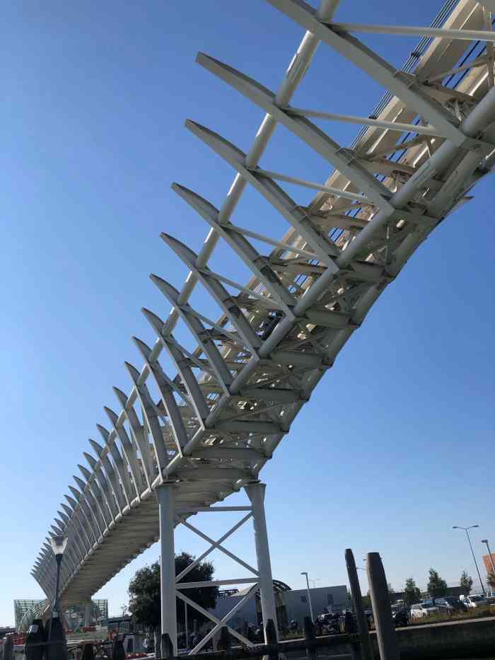 古格利桥-"整个威尼斯都感觉收到了海岸线上升的影响,.