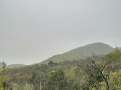 -阳台山自然风景区