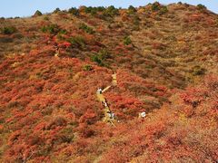 -水峪民俗村