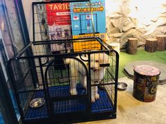 -MOJO密室逃脱(中街旗舰店)