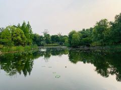 -苏州金鸡湖大酒店