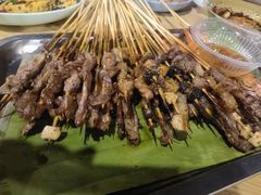 -杨合林啊兰烤鱼