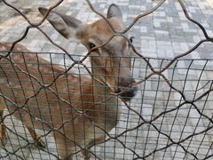 -长白岛森林公园