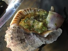 海螺-丹东特色烤肉(学府路一部店)