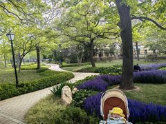 -八大关景区