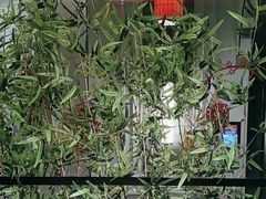 -徽镇小厨·经典徽菜(十里河店)