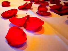 -藏素风格餐厅(大兴店)