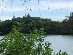 -西湖公园(鼓楼区)
