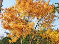 -元大都城垣遗址公园