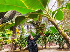 -呀路古热带植物园