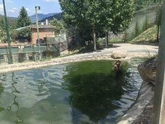 -栾川竹海野生动物园