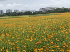-长广溪湿地公园