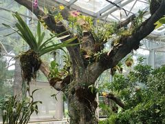 -国家植物园南园