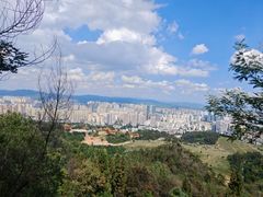 -长虫山生态公园风景林