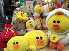-line friends(明洞旗舰店)