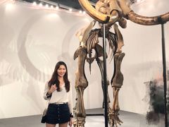 -香港会议展览中心演讲厅