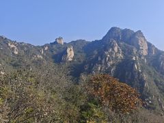 -大岭沟猕猴桃谷风景区