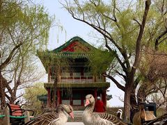 -颐和园-景明楼