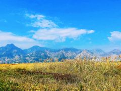-敕勒川草原文化旅游区