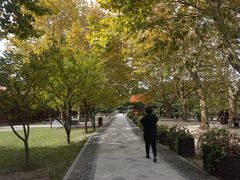 -庐山风景区花径公园