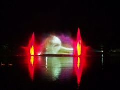 android_upload_pic-清迈夜间动物园