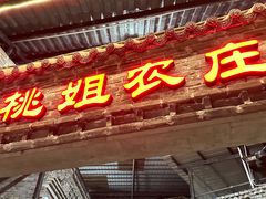 -桃姐农庄老字号(从化温泉店)