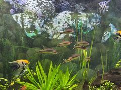 -上海动物园(地铁站)