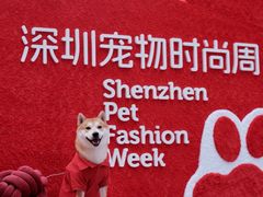 -OCT PARK欢乐时光