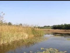 -溱湖国家湿地公园