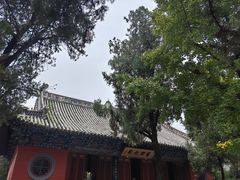-洛阳白马寺