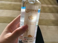 -上海浦东星河湾酒店
