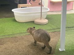-盈香心动乐园